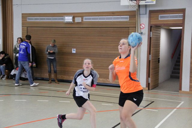 2017_02_19 Landesliga Frauen und Jugend 19